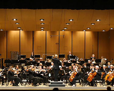 The Naptown Philharmonic Orchestra      